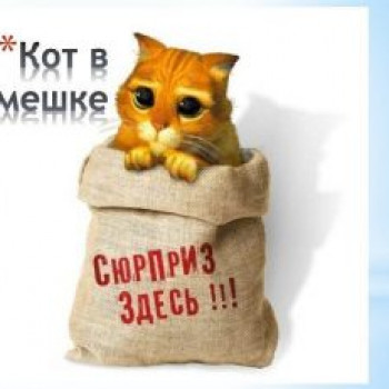 ” Кот в мешке “